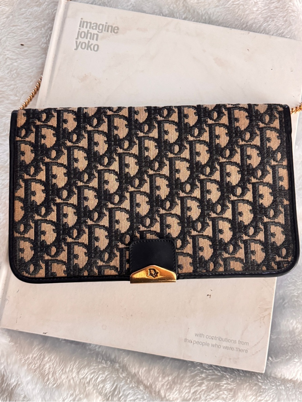 Authentic Christian Dior Trotter Chain Shoulder Bag - Picture 4 of 14